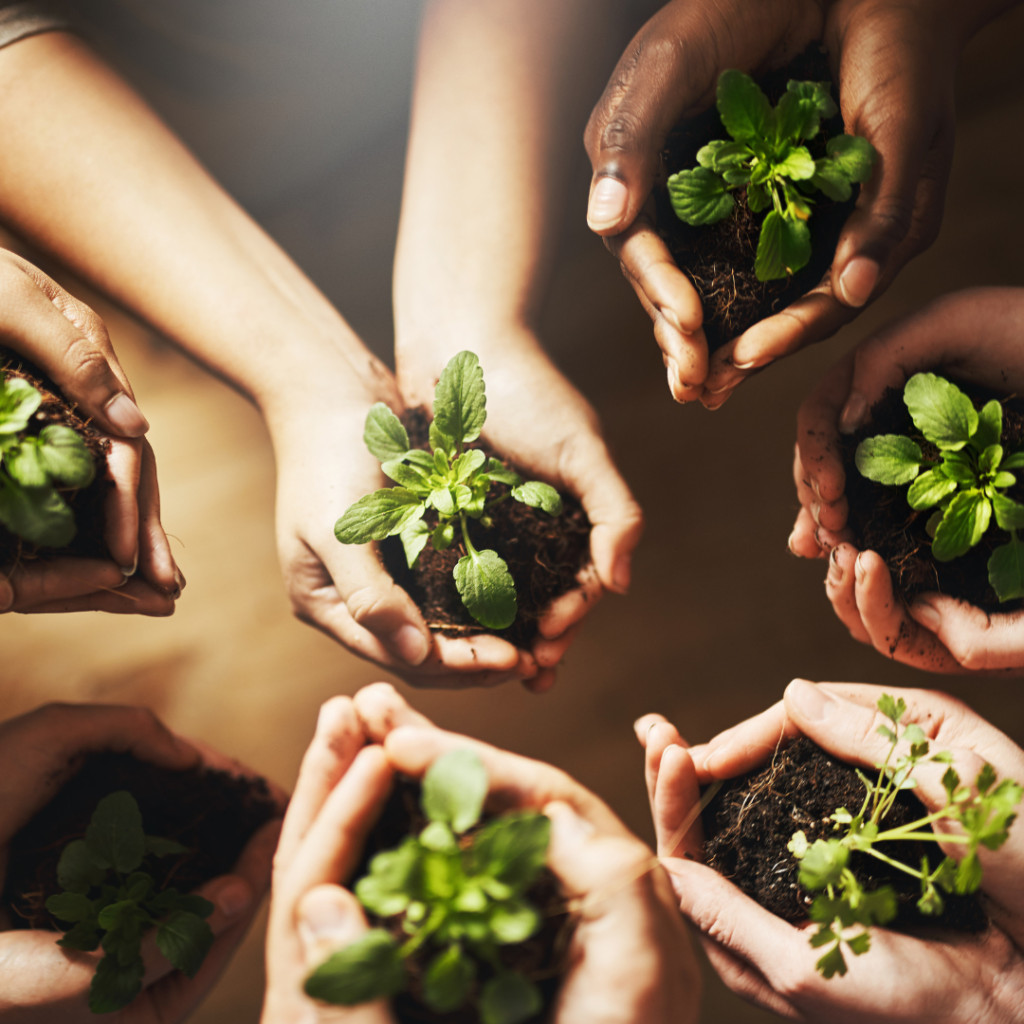 Bioinsumos e Bioenergia: Inovação para um Agro Sustentável no Brasil