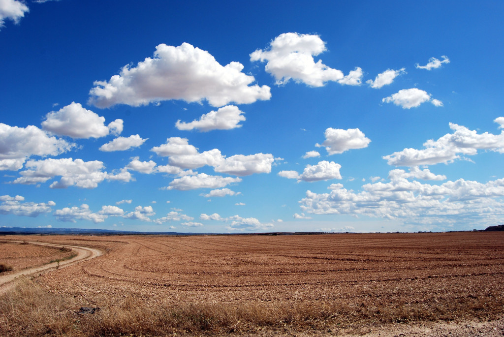 Clima e Agricultura: Previsões meteorológicas para janeiro de 2024