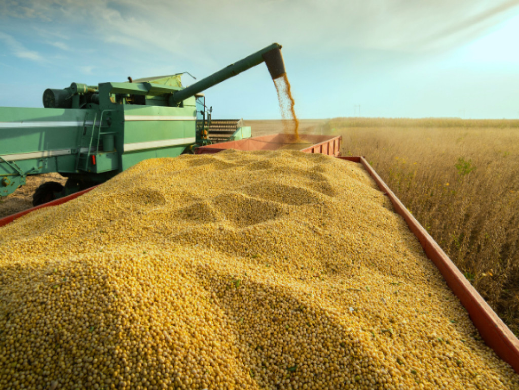 Como o campo movimenta quase 30% do PIB do Brasil?