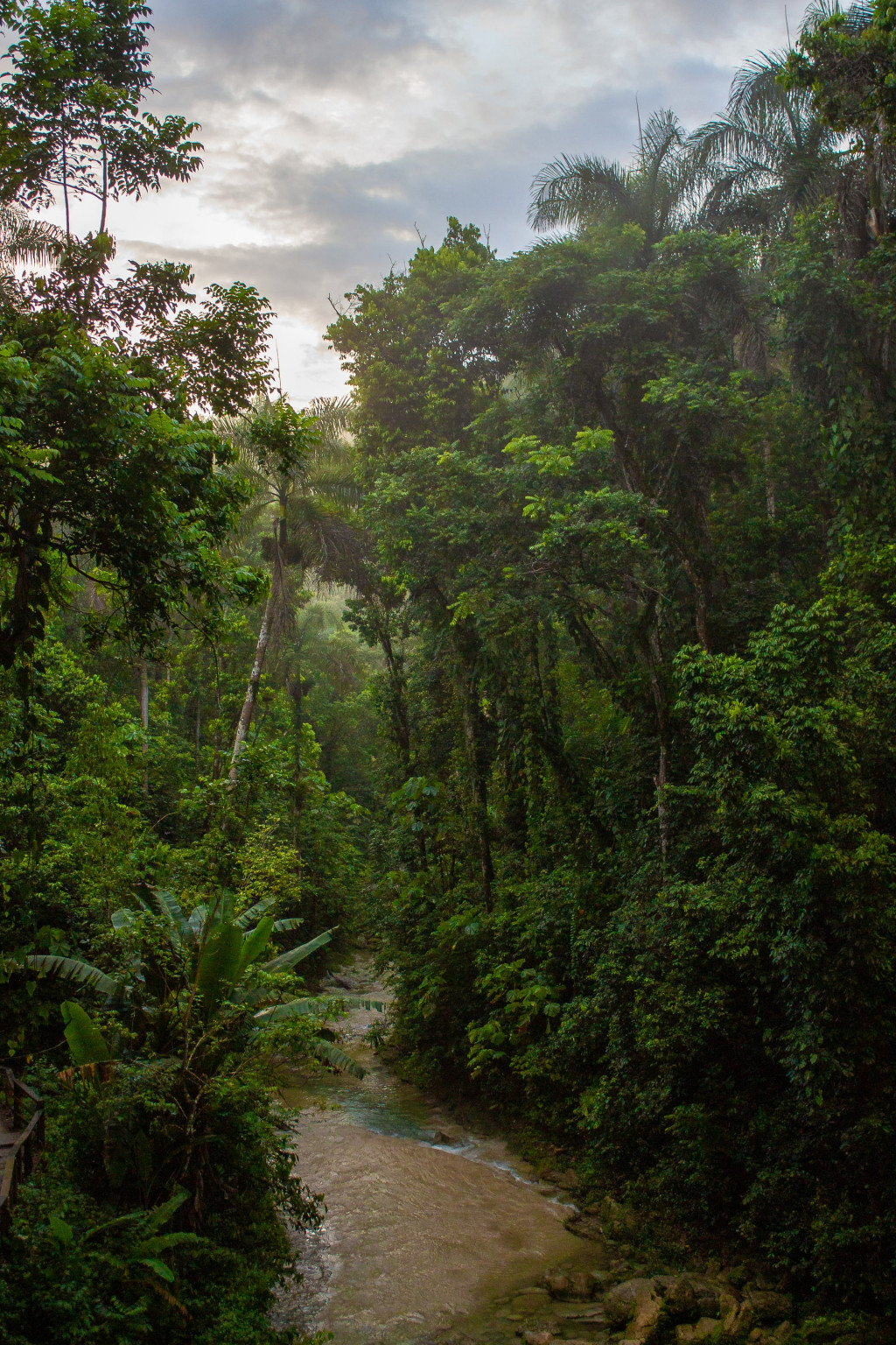 Como a tecnologia nos permite revelar segredos da Amazônia