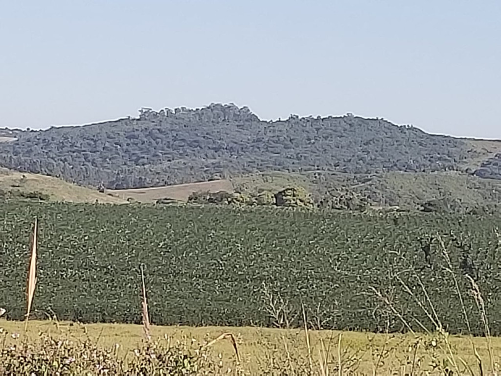 As invasões de terras