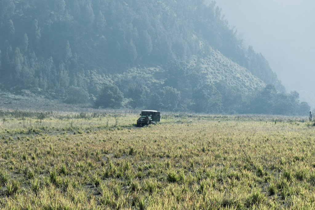 Ondas de calor intensificadas ameaçam produção agrícola na Ásia