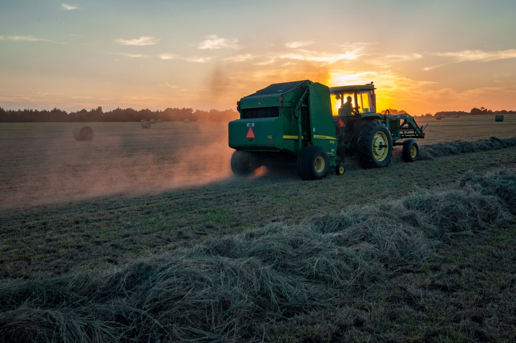 USDA: exportação de milho acima das expectativas e cancelamento de compras de soja