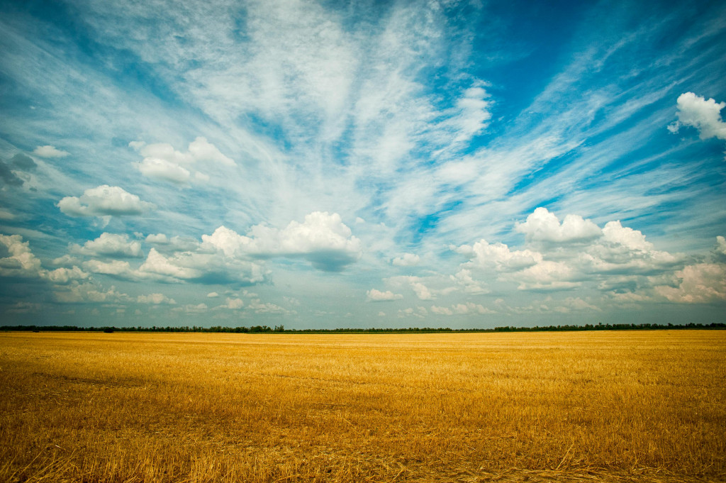 Crescimento agrícola gaúcho: Safra de verão aponta para recuperação notável em 2023/2024