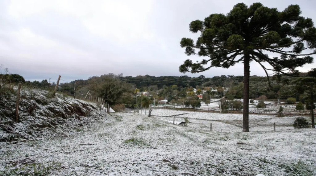 Geada, estiagem e umidade: Entenda os riscos do inverno para o agro