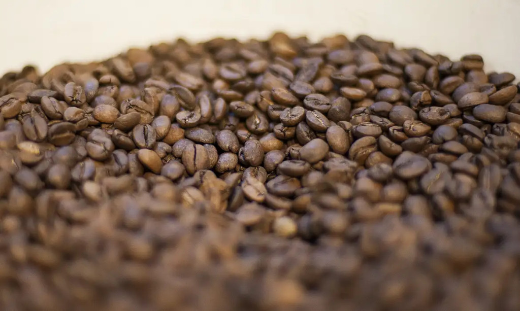Exportação do café brasileiro para os EUA despencou após tarifaço: entenda os riscos e oportunidades