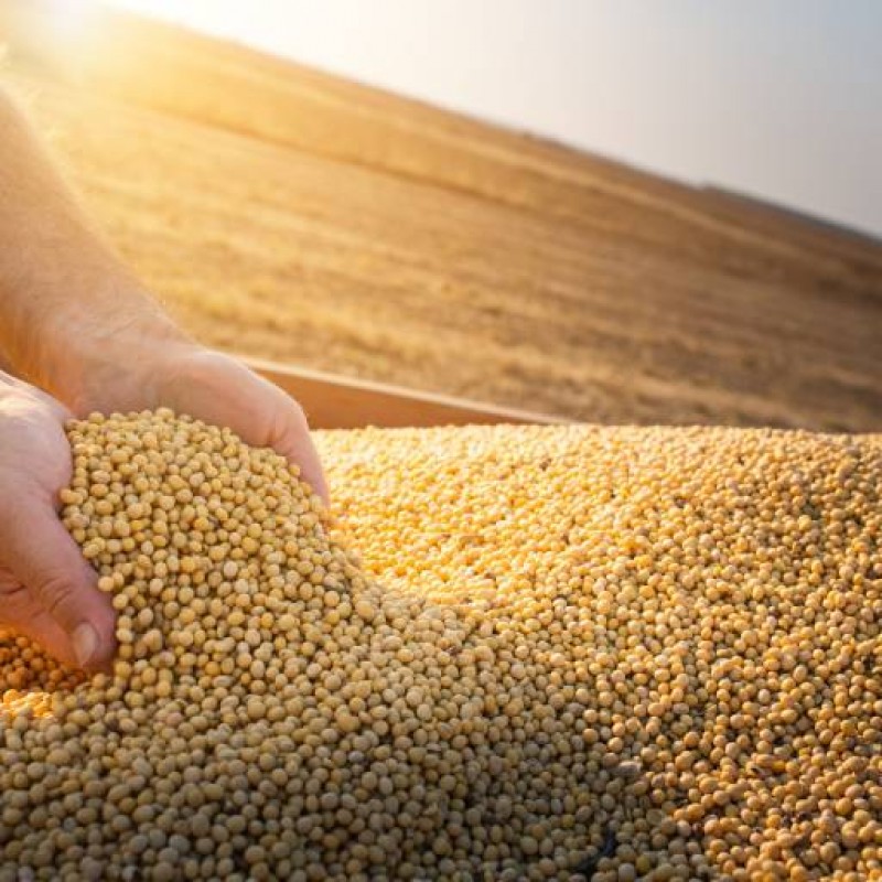 Credit Suisse vê safra 21/22 como melhor momento da história do agro brasileiro e eleva projeções para ações do setor