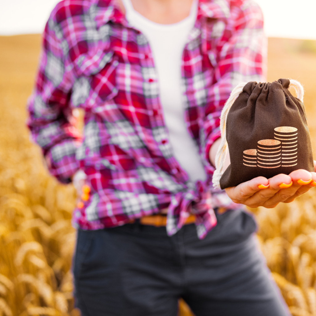 Entraves no Crédito Rural