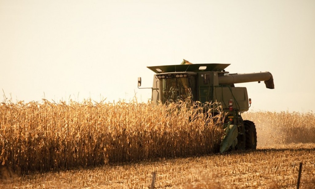 Colheita do milho alcança 65,6% no Mato Grosso do Sul